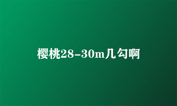 樱桃28-30m几勾啊