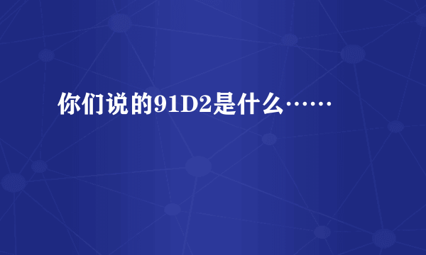 你们说的91D2是什么……