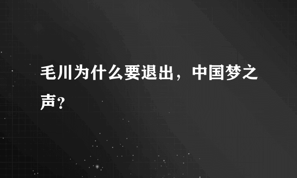 毛川为什么要退出，中国梦之声？