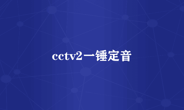 cctv2一锤定音