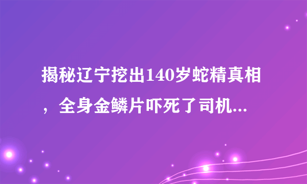 揭秘辽宁挖出140岁蛇精真相，全身金鳞片吓死了司机(是谣言)—飞外