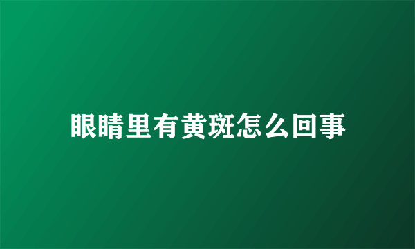 眼睛里有黄斑怎么回事