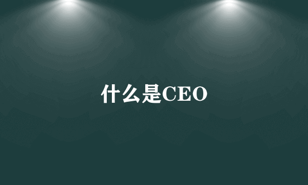 什么是CEO