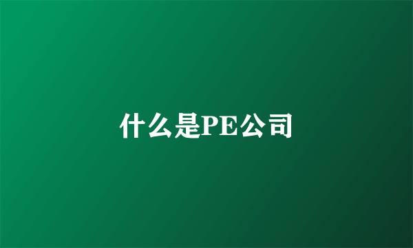 什么是PE公司