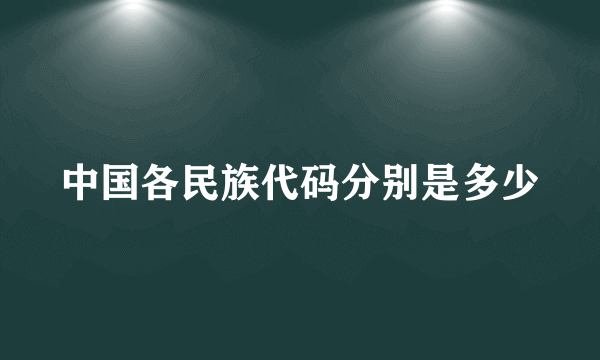 中国各民族代码分别是多少