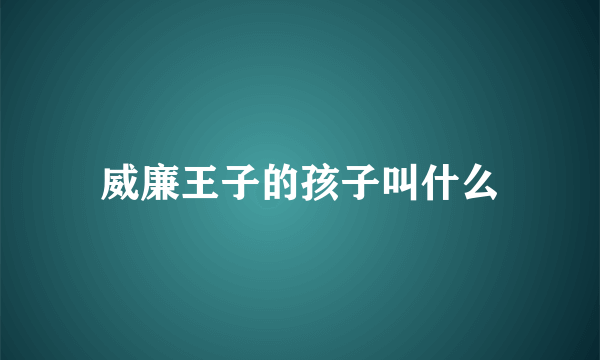 威廉王子的孩子叫什么