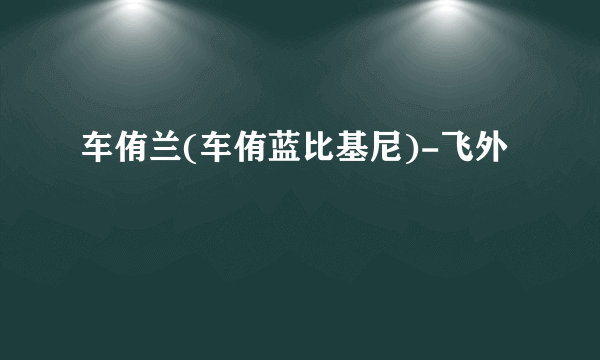 车侑兰(车侑蓝比基尼)-飞外