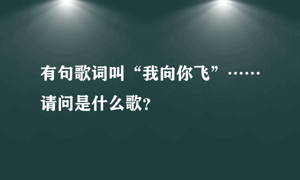 有句歌词叫“我向你飞”……请问是什么歌？