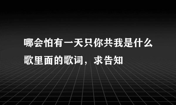 哪会怕有一天只你共我是什么歌里面的歌词，求告知