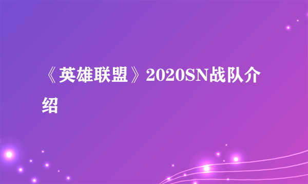 《英雄联盟》2020SN战队介绍