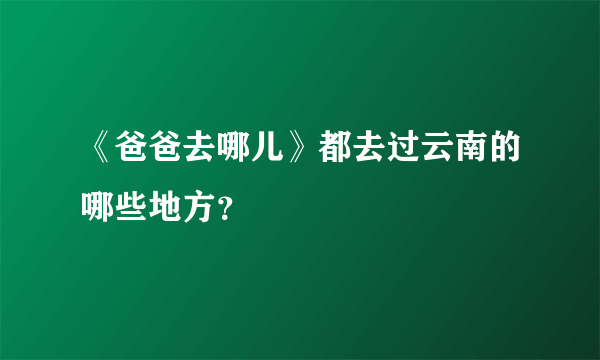 《爸爸去哪儿》都去过云南的哪些地方？