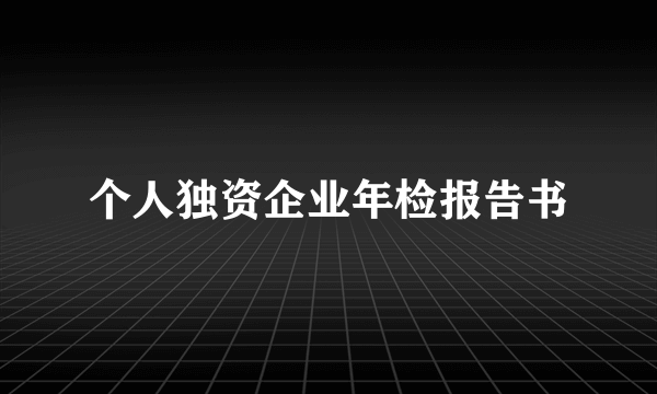 个人独资企业年检报告书