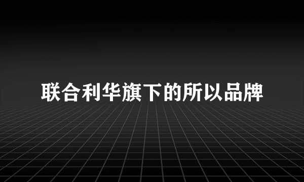 联合利华旗下的所以品牌