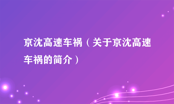 京沈高速车祸（关于京沈高速车祸的简介）