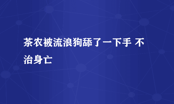 茶农被流浪狗舔了一下手 不治身亡