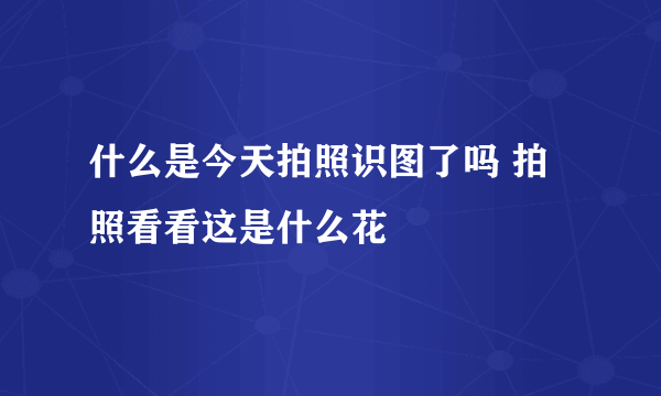 什么是今天拍照识图了吗 拍照看看这是什么花