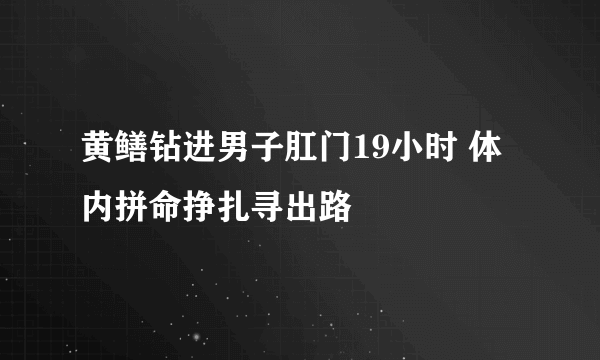 黄鳝钻进男子肛门19小时 体内拼命挣扎寻出路