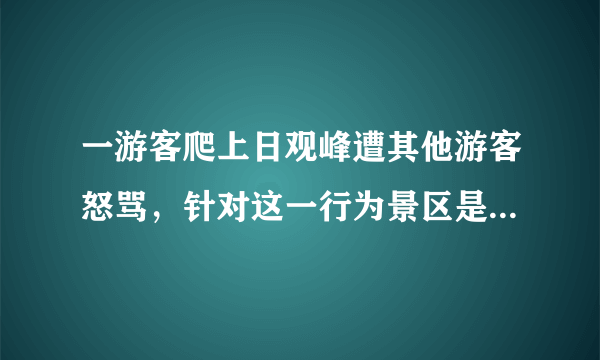 一游客爬上日观峰遭其他游客怒骂，针对这一行为景区是否有作处罚？