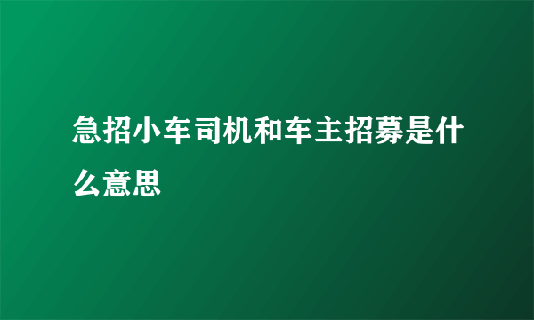 急招小车司机和车主招募是什么意思