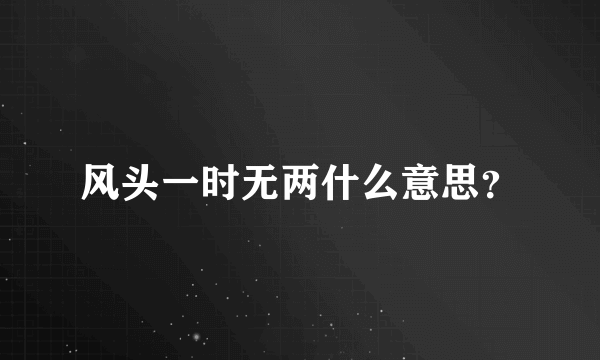 风头一时无两什么意思？