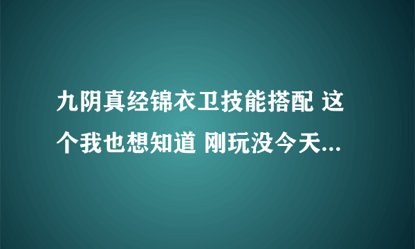 九阴真经锦衣卫技能搭配 这个我也想知道 刚玩没今天 你也帮帮我把 谢谢了