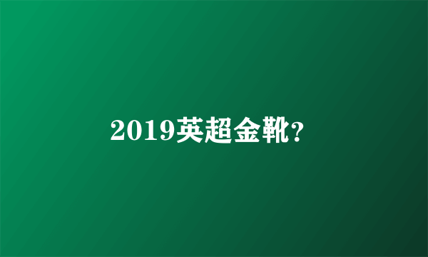 2019英超金靴？