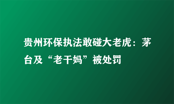 贵州环保执法敢碰大老虎：茅台及“老干妈”被处罚