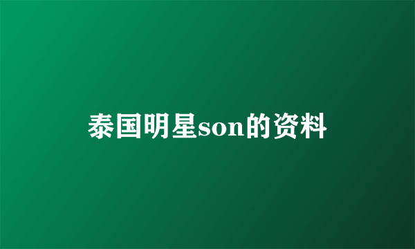 泰国明星son的资料