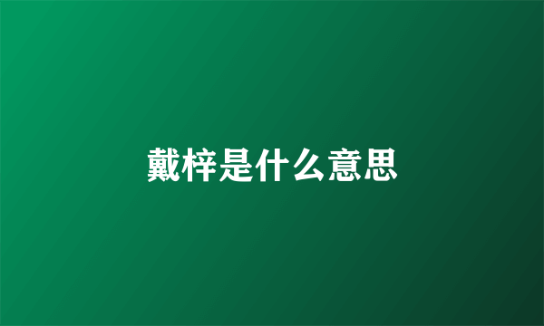 戴梓是什么意思