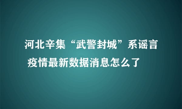 河北辛集“武警封城”系谣言 疫情最新数据消息怎么了