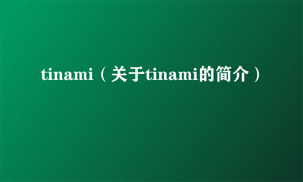 tinami（关于tinami的简介）