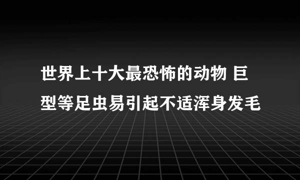 世界上十大最恐怖的动物 巨型等足虫易引起不适浑身发毛