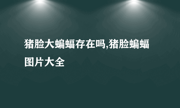 猪脸大蝙蝠存在吗,猪脸蝙蝠图片大全