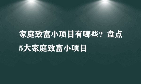 家庭致富小项目有哪些？盘点5大家庭致富小项目