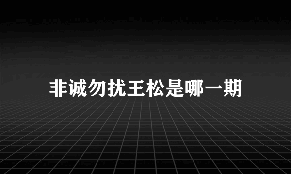 非诚勿扰王松是哪一期