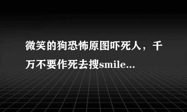 微笑的狗恐怖原图吓死人，千万不要作死去搜smile.jpg