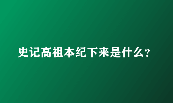 史记高祖本纪下来是什么？