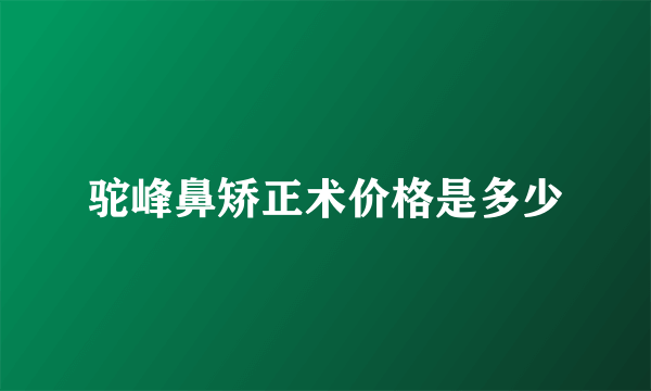 驼峰鼻矫正术价格是多少