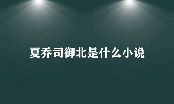 夏乔司御北是什么小说