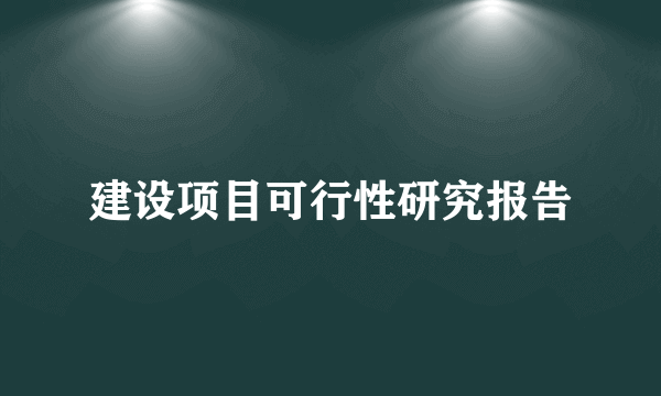 建设项目可行性研究报告