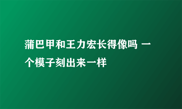 蒲巴甲和王力宏长得像吗 一个模子刻出来一样