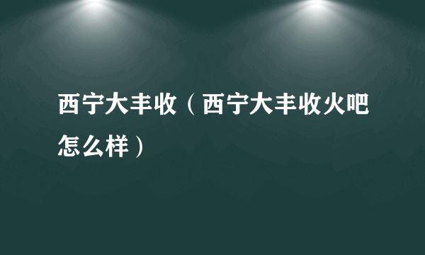 西宁大丰收（西宁大丰收火吧怎么样）