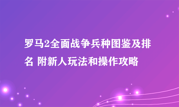 罗马2全面战争兵种图鉴及排名 附新人玩法和操作攻略