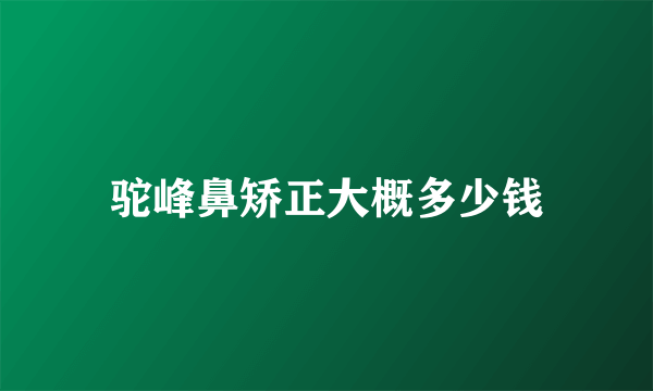 驼峰鼻矫正大概多少钱