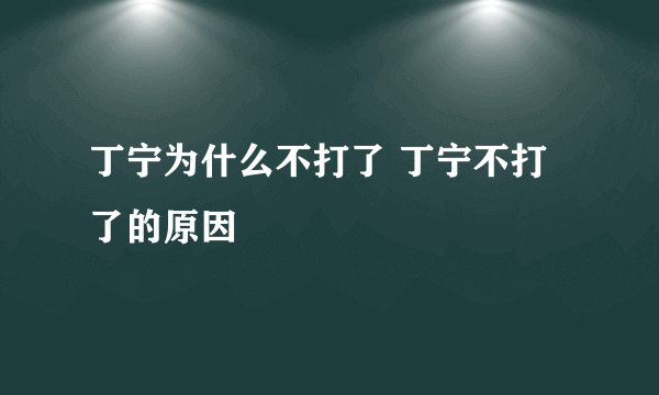 丁宁为什么不打了 丁宁不打了的原因