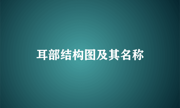 耳部结构图及其名称