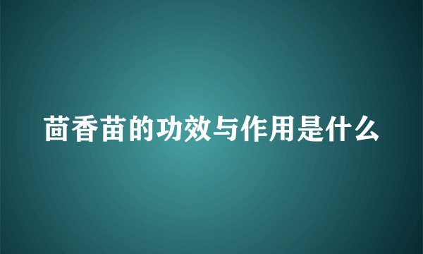 茴香苗的功效与作用是什么