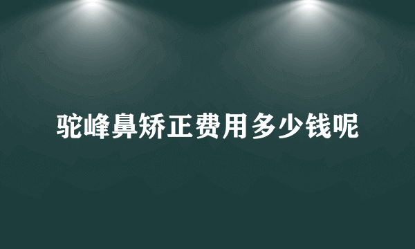 驼峰鼻矫正费用多少钱呢