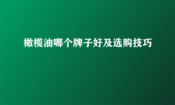 橄榄油哪个牌子好及选购技巧