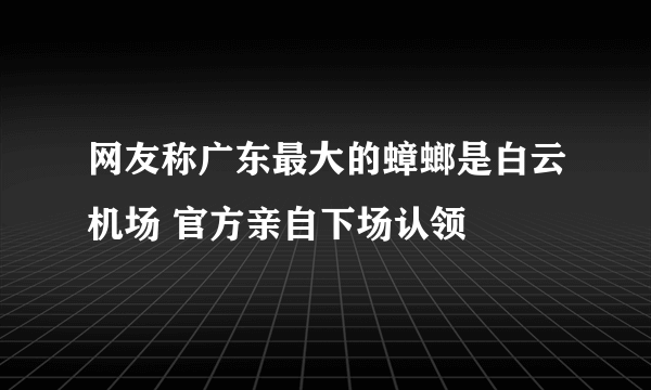 网友称广东最大的蟑螂是白云机场 官方亲自下场认领